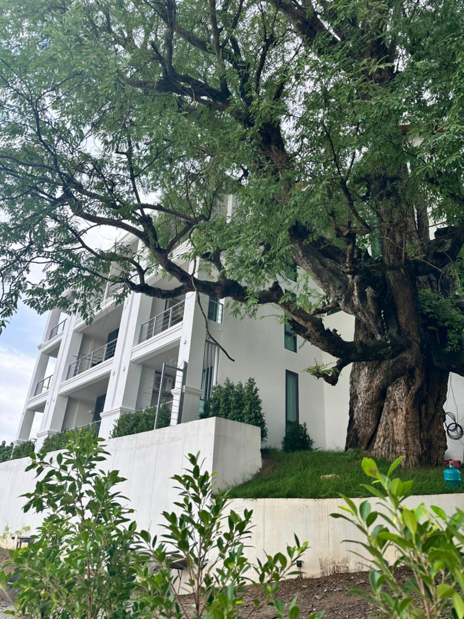 Sokview Residence لوانغ برابانغ المظهر الخارجي الصورة
